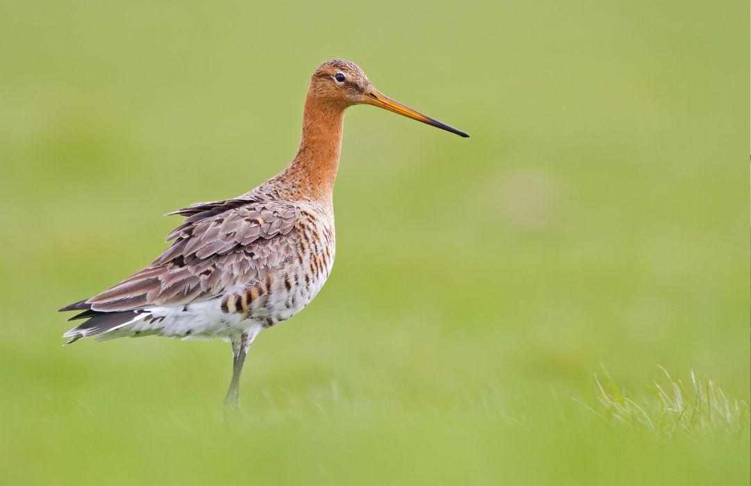 PiXlife Nature Xperience — uitje in Nederland