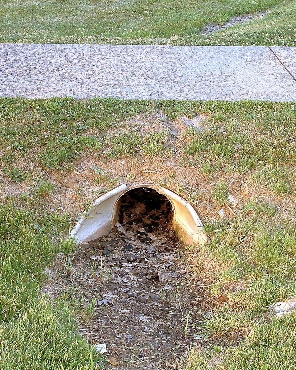 De Kleine Duiker — uitje in Nederland