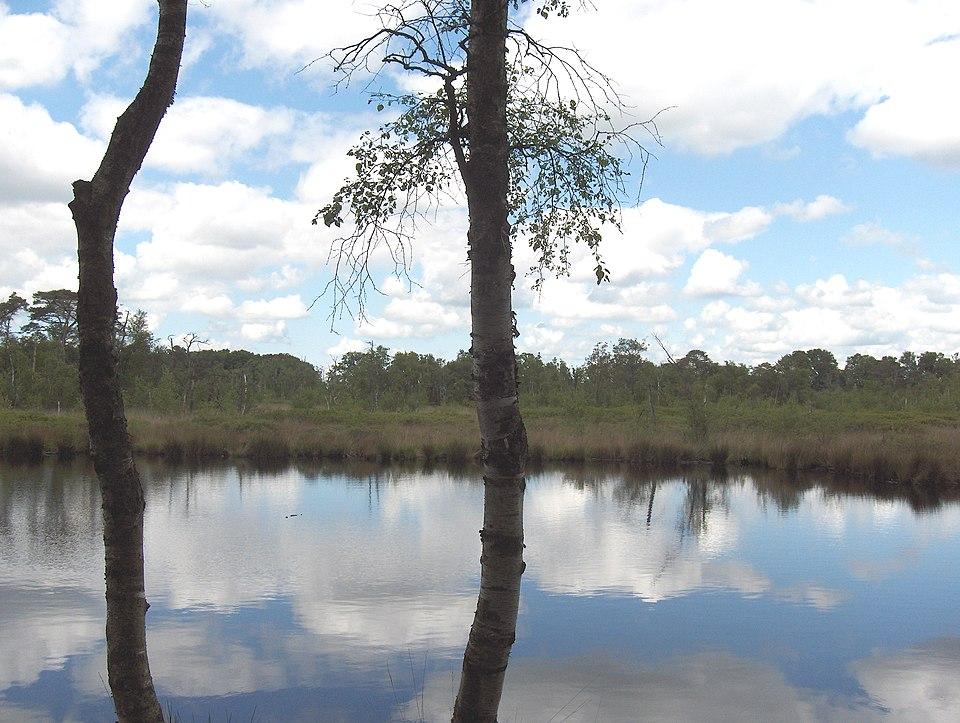 Paviljoen Appelbergen — uitje in Nederland