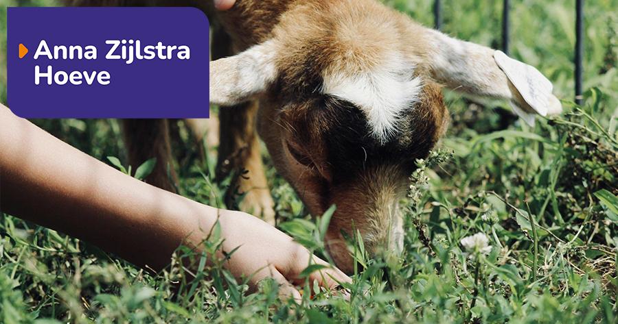 Alliade - Kinderboerderij Anna Zijlstra Hoeve — uitje in Nederland