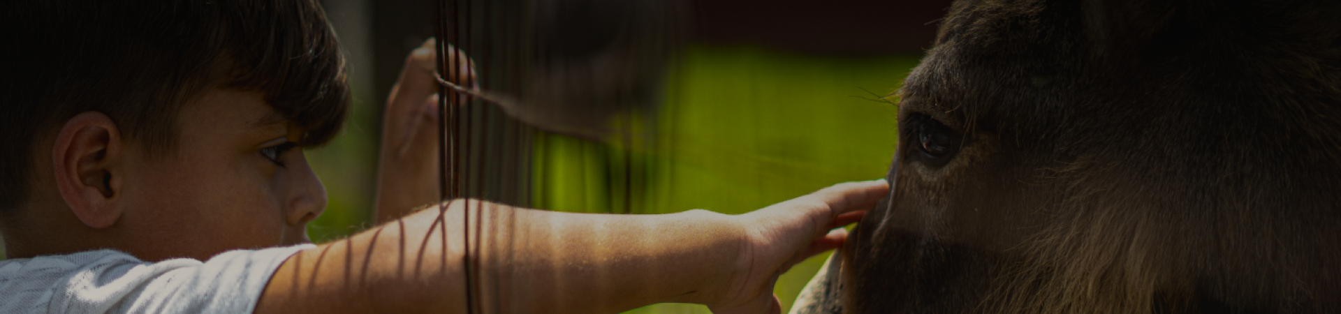 De Koperen ezel — uitje in Nederland