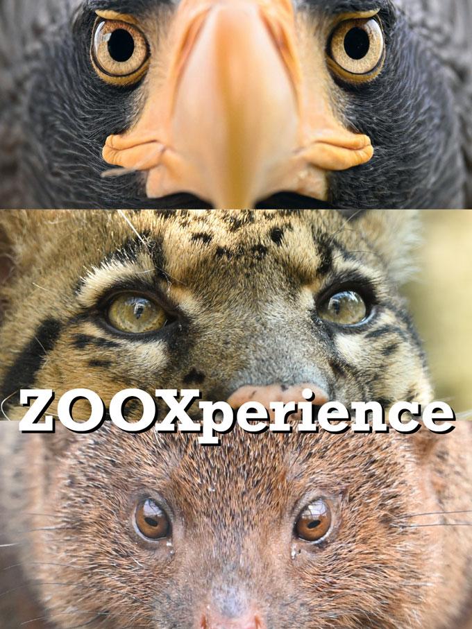 Dierenpark Zie-ZOO — uitje in Nederland