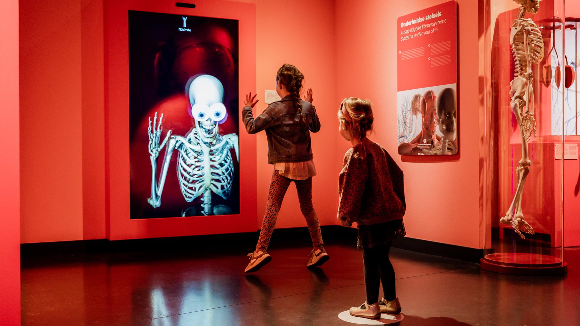 Discovery Museum — uitje in Nederland