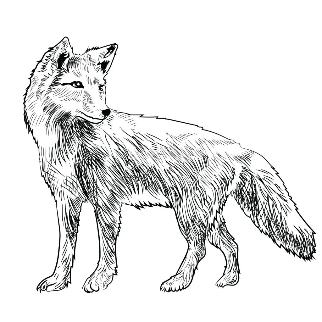 Duincafé de Kennemerduinen — uitje in Nederland