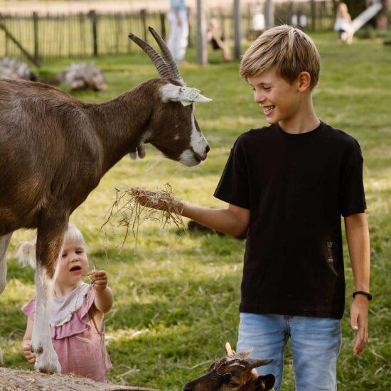 Landwinkel de Eekhoeve — uitje in Nederland