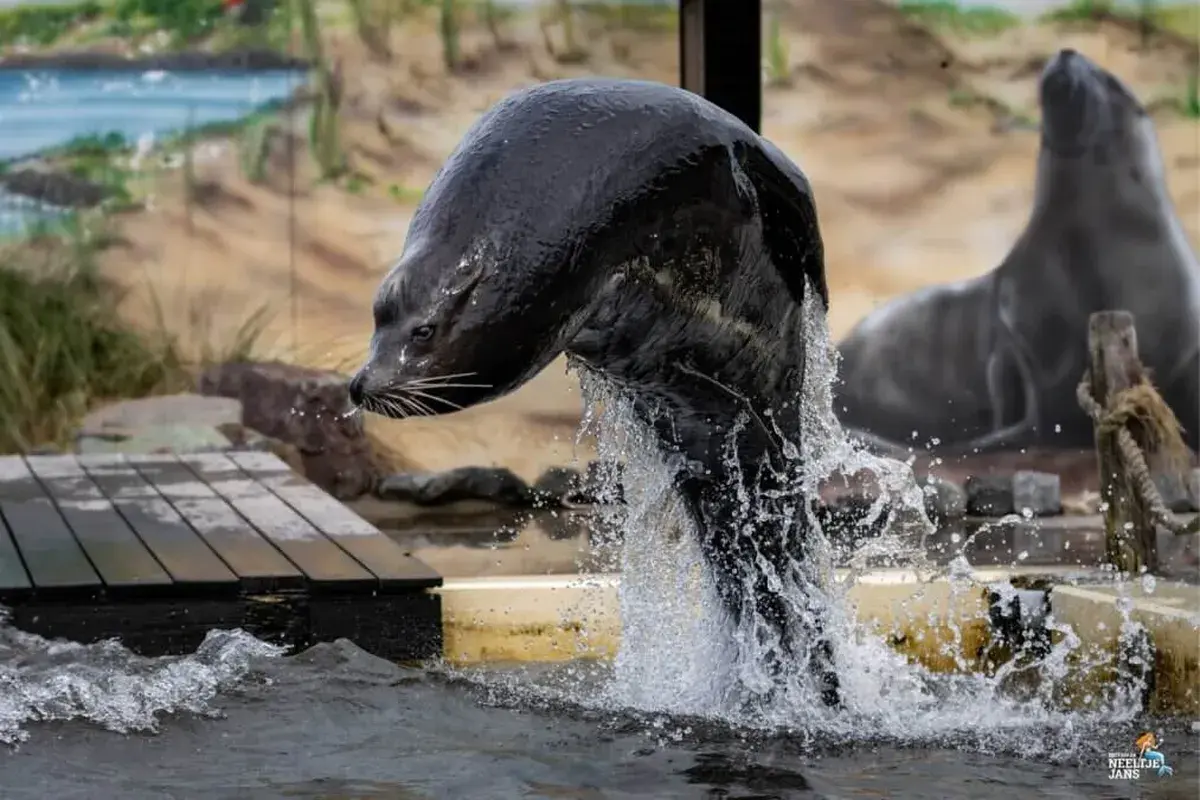 Deltapark Neeltje Jans — uitje in Nederland