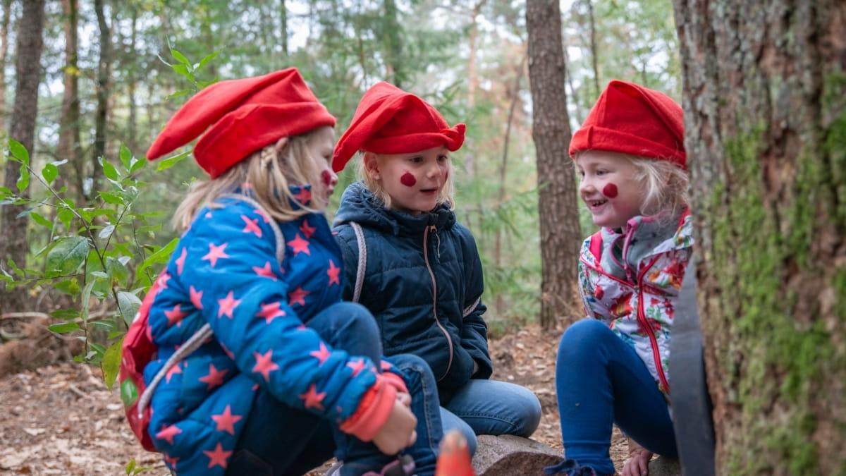 Kabouterpad de Meinweg — uitje in Nederland