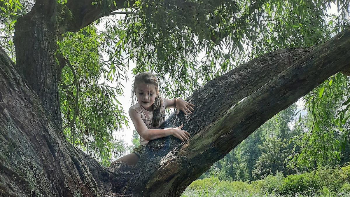 Braakman Boerderij Staatsbosbeheer — uitje in Nederland