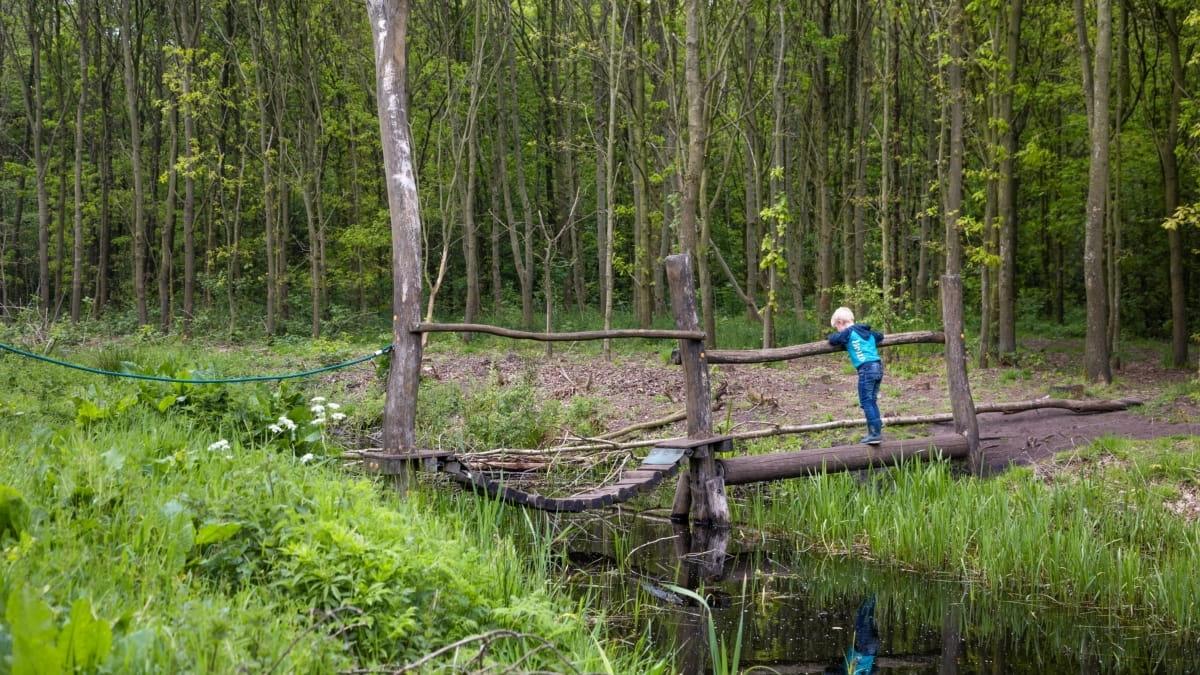 Speelbos Nieuw Wulven — uitje in Nederland