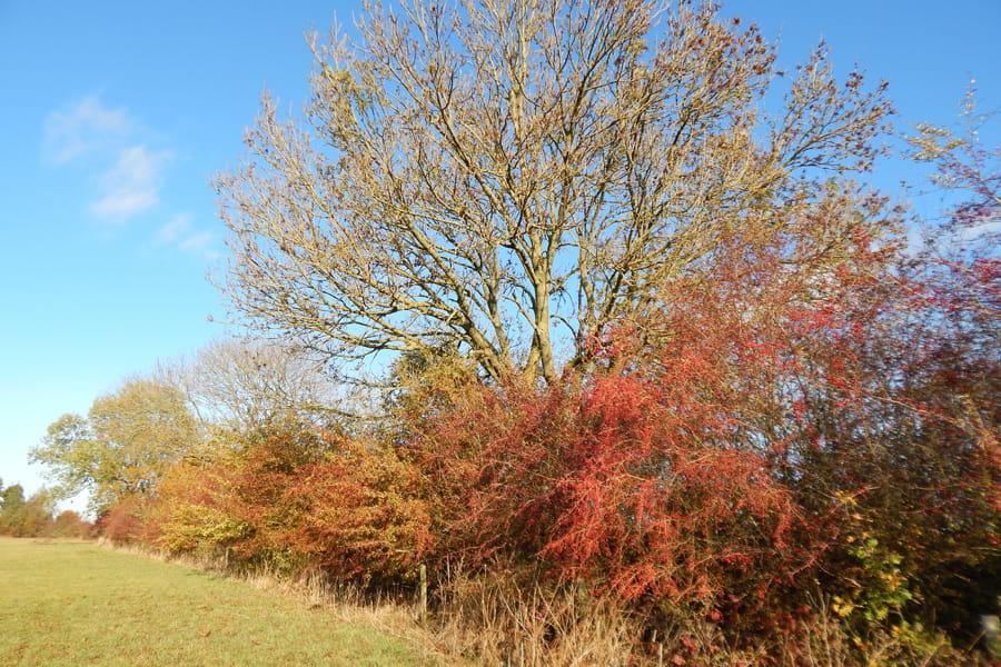 Laarzenpad Pontipad — uitje in Nederland