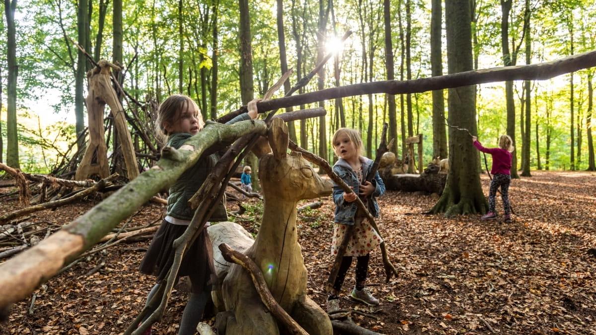 Speelplaats Purmerbos — uitje in Nederland