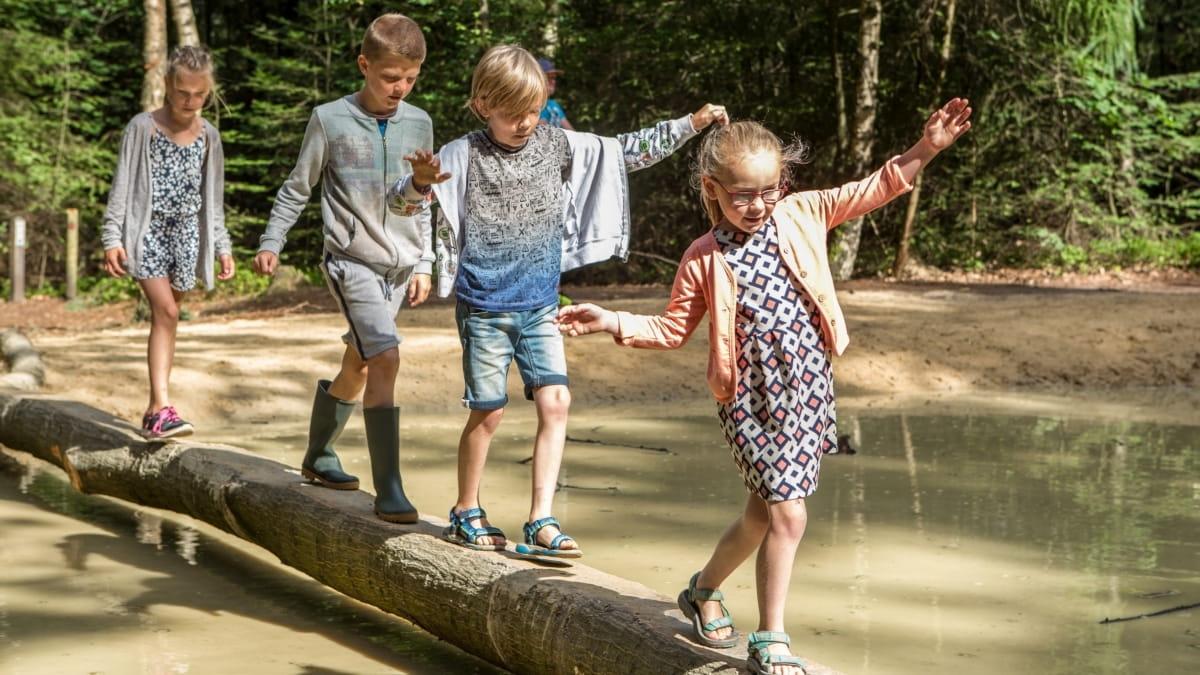 Speelbos Sallandse Heuvelrug — uitje in Nederland