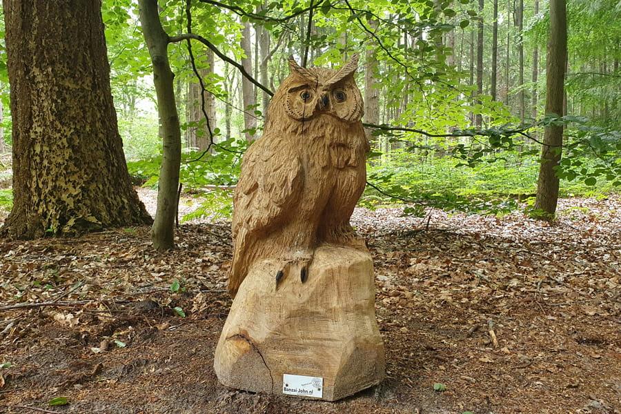 Bosbeestenpad Oudemirdum — uitje in Nederland