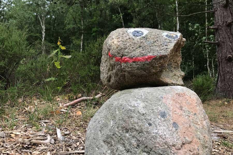 Sommeltjespad — uitje in Nederland