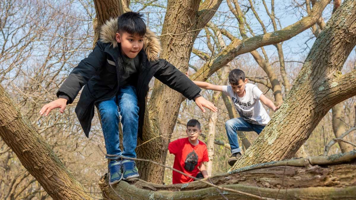 Beverbos — uitje in Nederland