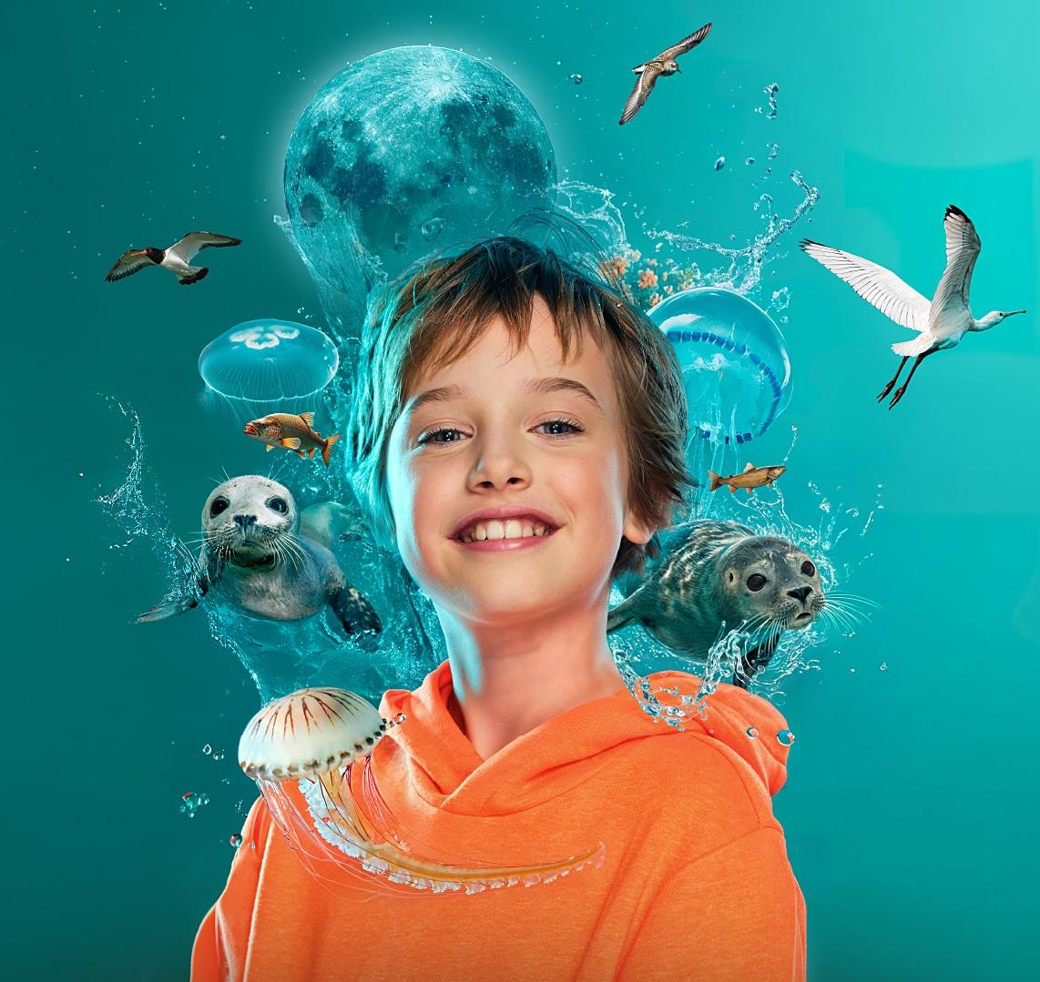 Zeehondencentrum Pieterburen — uitje in Nederland