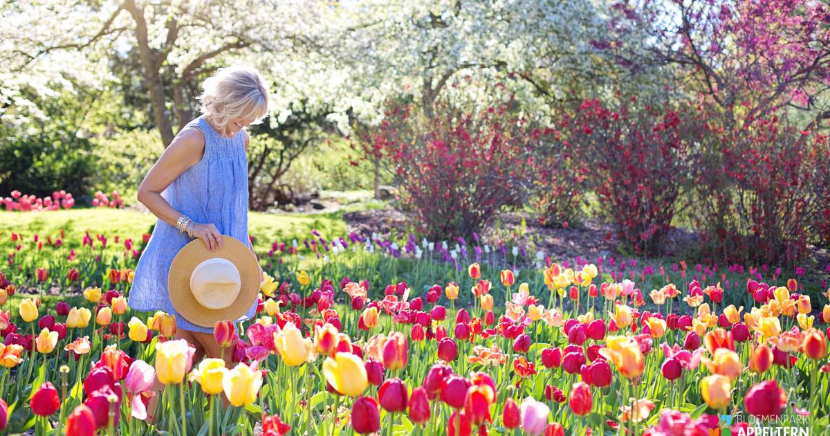 Bloemenpark Appeltern — uitje in Nederland