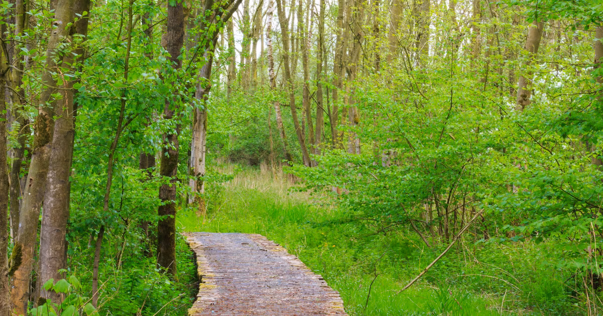 Startpunt Avonturenroute Harderbos — uitje in Nederland