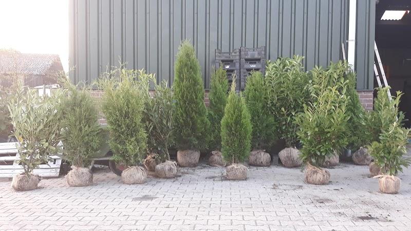 Blotevoetenpad het groene geschenk, uitje in Nederland