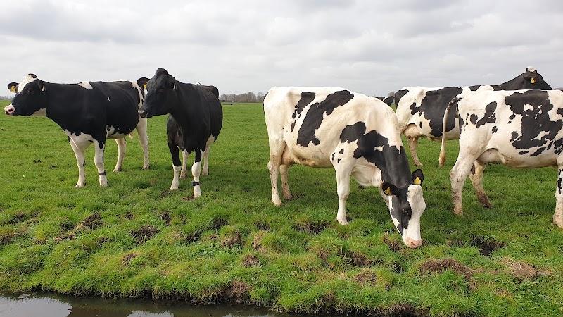 Boerderij Polderzicht , uitje in Nederland