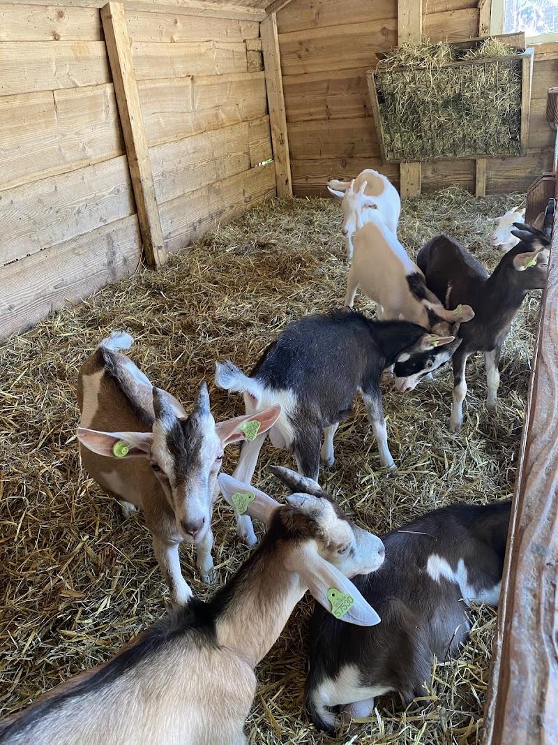 Boerderij 't Geertje, uitje in Nederland
