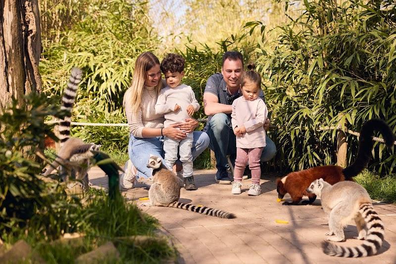 Eindhoven Zoo, uitje in Nederland