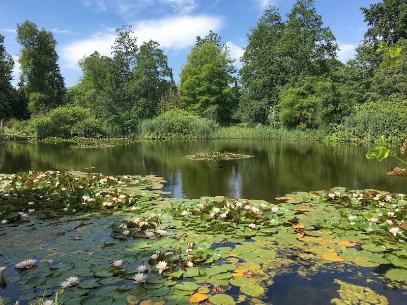 Nationaal Bomenmuseum Gimborn | Stichting Von Gimborn Arboretum, uitje in Nederland