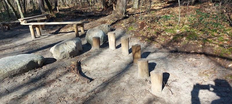 Speelbos De Konijnenberg, uitje in Nederland