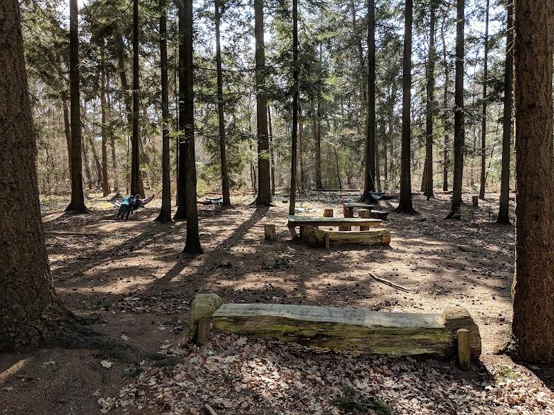 Speelbos 'In Het Hol Van De Leeuw', uitje in Nederland