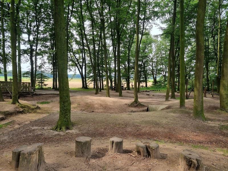 Speelnatuur van OERRR Bergherbos, uitje in Nederland