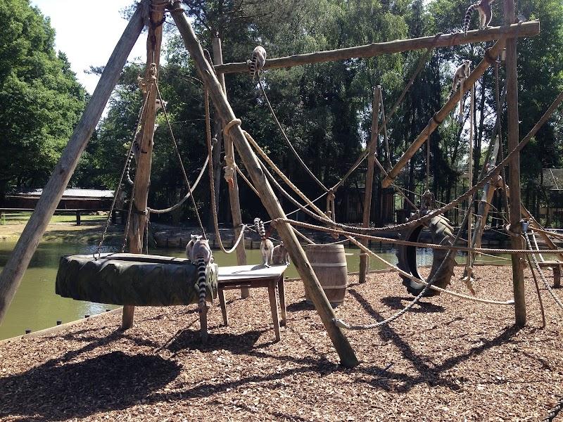 Zoo Veldhoven, uitje in Nederland