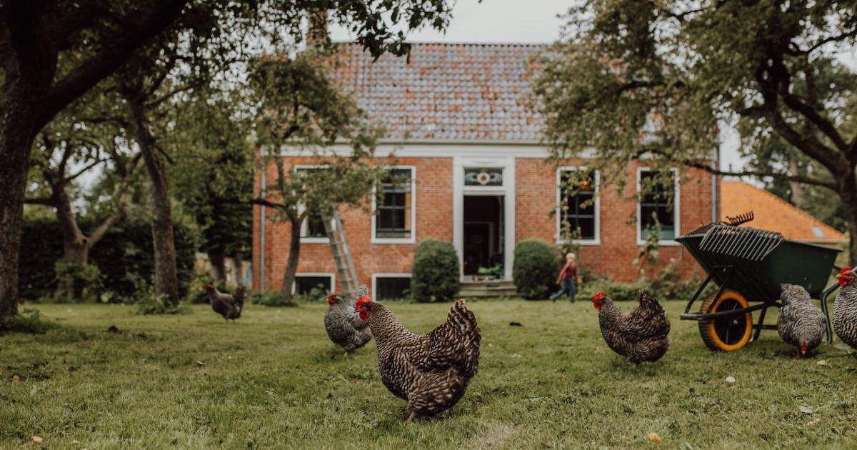 Op Maarhuizen — uitje in Nederland
