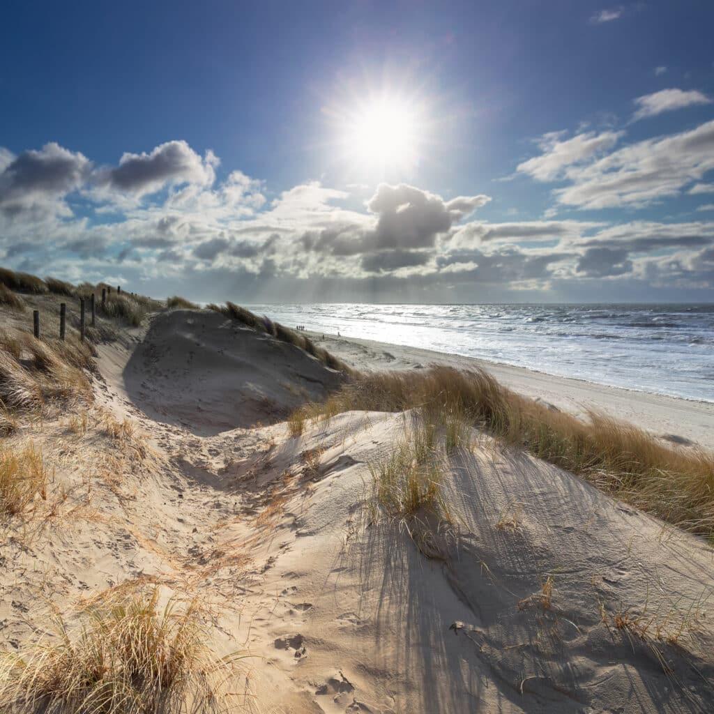 Wandelstartpunt Dijkgatbos — uitje in Nederland
