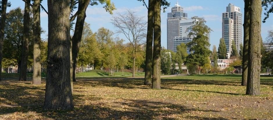 Martin Luther Kingpark — uitje in Nederland