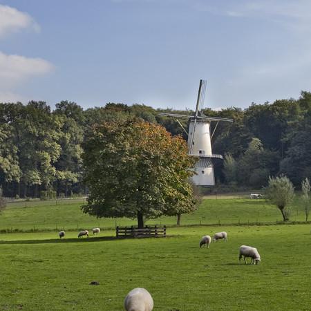 Nederlands Openluchtmuseum — uitje in Nederland