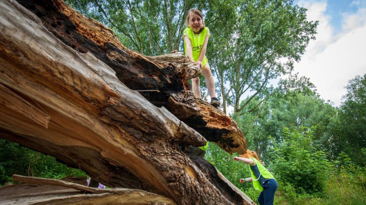 Speelbos Het Banjerbossie — uitje in Nederland