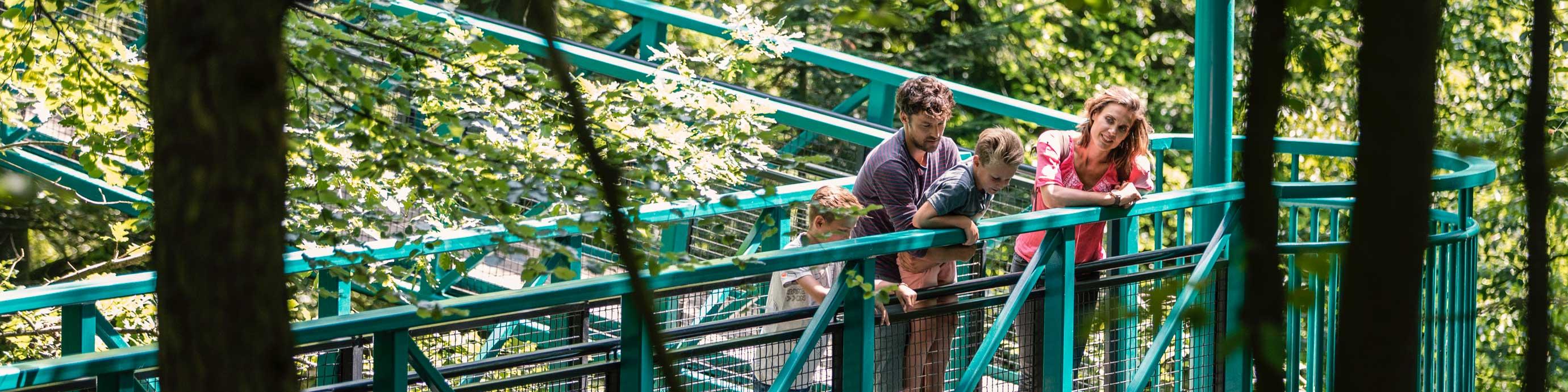 Buitencentrum Boomkroonpad — uitje in Nederland