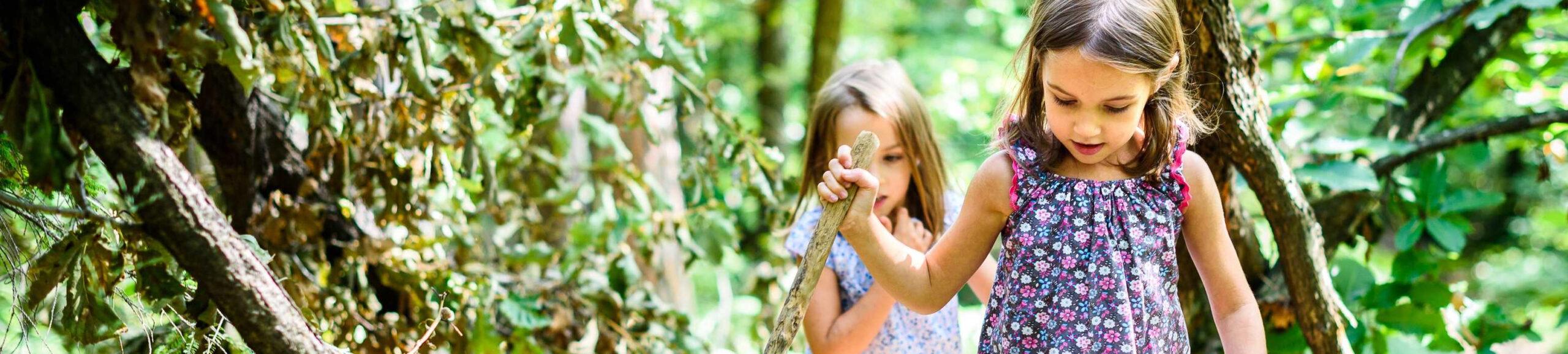 De Steengroeve — uitje in Nederland